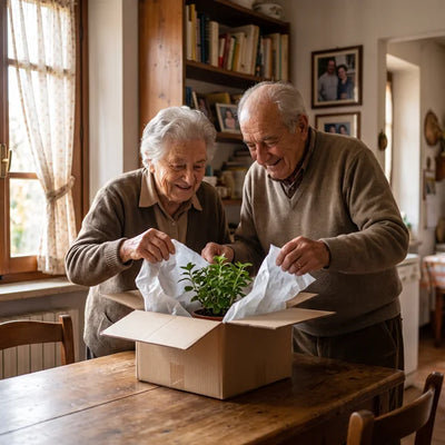 Coppia di nonni italiani apre in cucina il pacco con la pianta regalo ricevuto a domicilio per la Festa dei Nonni