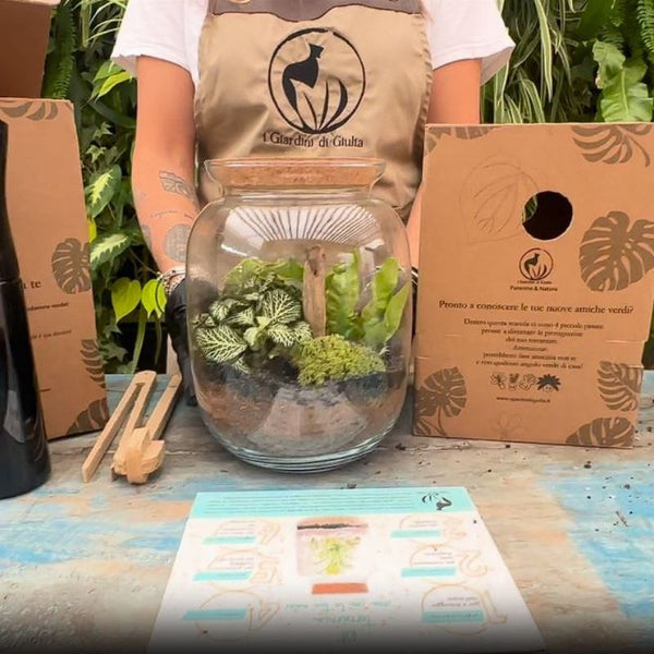 Kit terrarium fai da te con piante verdi in un vaso di vetro