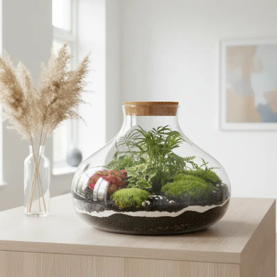 The terrarium as a small planet: how a closed cycle in your living room really works