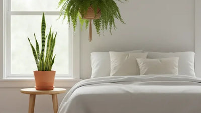 Bedroom plants and sleep: what science really says (and what it doesn’t)