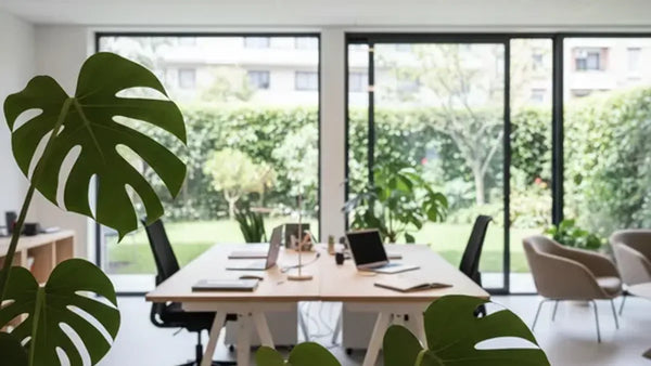 Piante in ufficio moderno per design biofilico e benessere