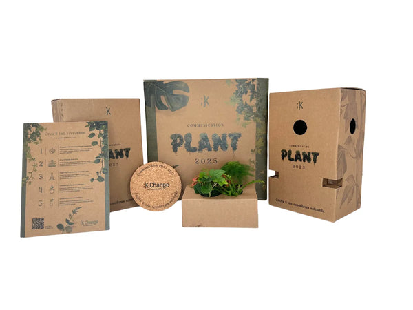Kit de terrarium K-Change à monter soi-même