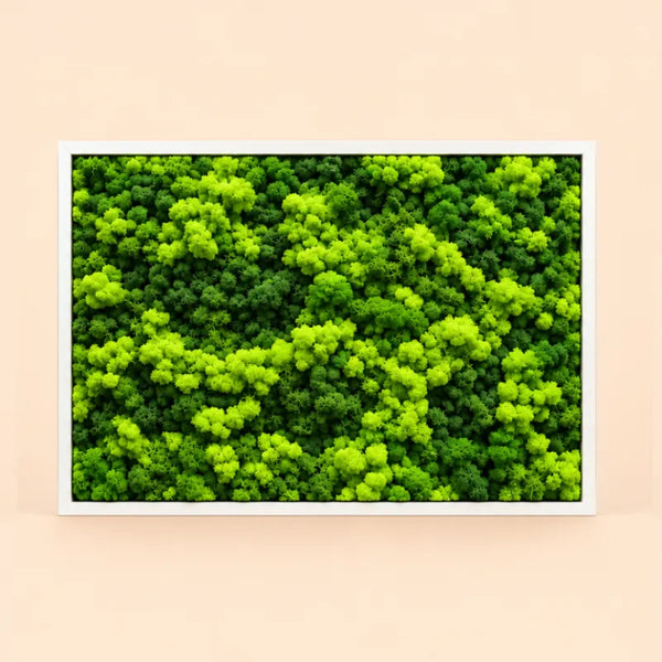 Quadro Rettangolare di Licheni Stabilizzati 83x63 cm – Cornice Nera o Bianca