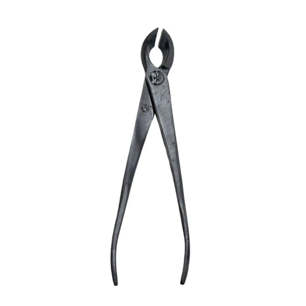 Tijeras cóncavas de corte recto para bonsái