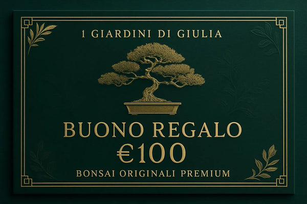 Premium Original Bonsai Gift Voucher | Giulia's Gardens Exclusive Collection
