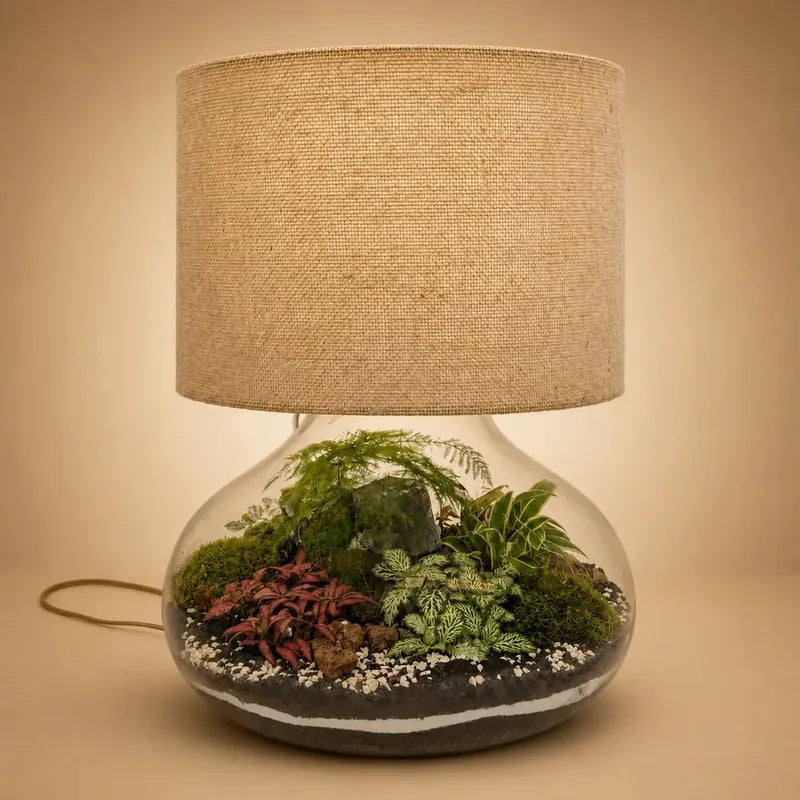 Lamparium: terrarium in vetro con piante e paralume in juta acceso