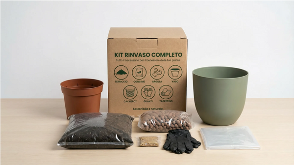 Kit completo para trasplante de plantas de interior con cubremaceta – Ø15 cm