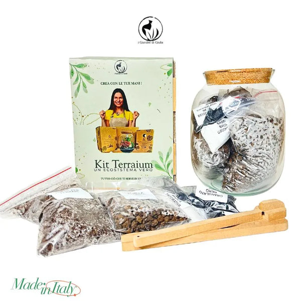 Kit Terrarium Medio 22×12 cm – Senza Piante | Made in Italy