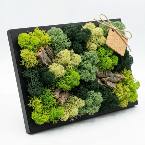 Stabilized Moss and Lichen Mini Picture Frame 14.5x24.5 cm – Black Frame | Made in Italy