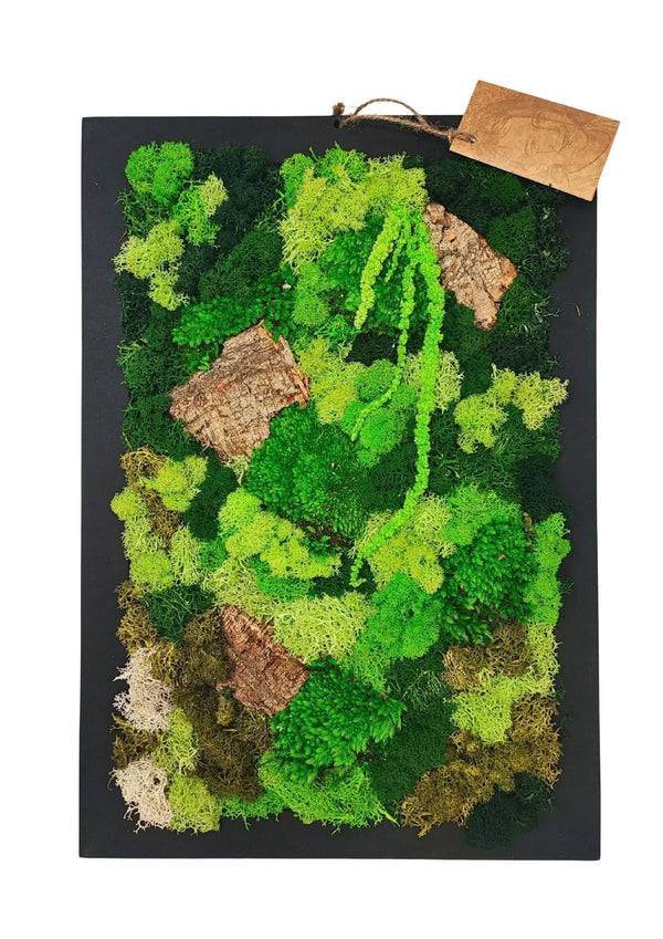 Cadre rectangulaire en mousse et lichen stabilisés 30x40 cm