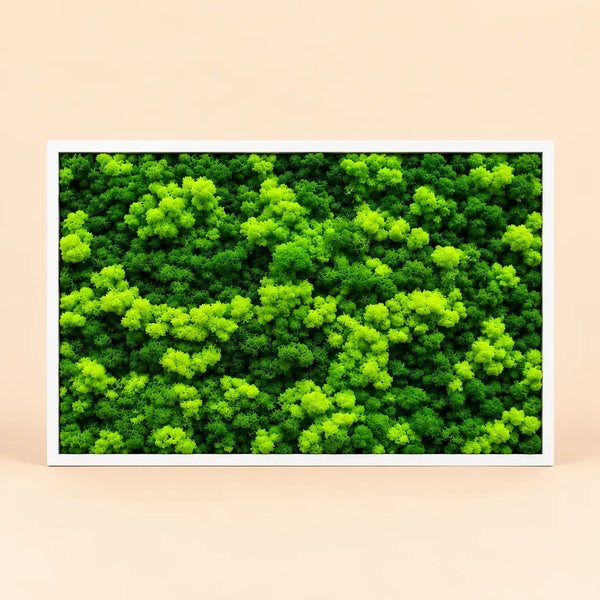 Quadro Rettangolare di Lichene Stabilizzato 103x73 cm