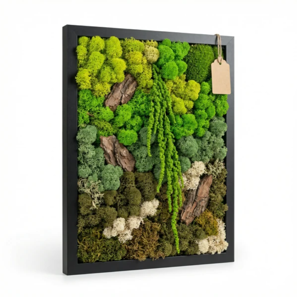 Preserved Moss and Lichen Frame 35x50 cm – EcoMosaico | Made in Italy
