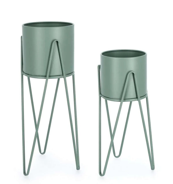 SET2 P.FIORE MADELYN ZU SALVIA