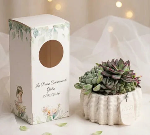 Bomboniere comunione cresima succulente piante packaging personalizzato