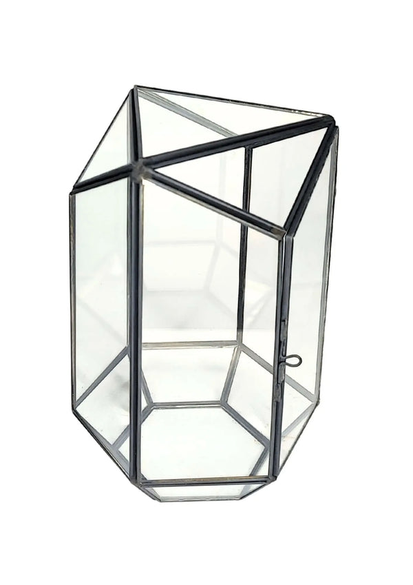 Terrarium géométrique en verre Eden 2TR064