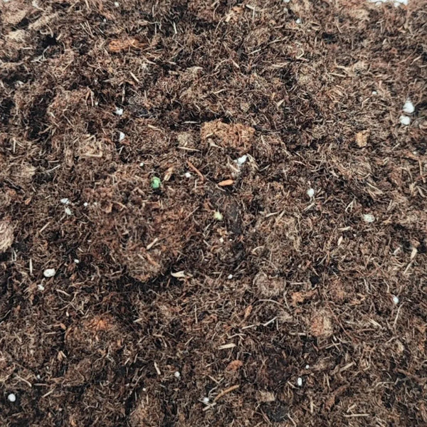 Terrarium soil