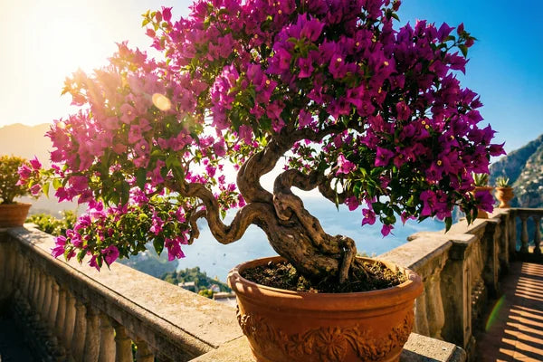 Flowering Bonsai: The Guide to Spectacular Blooms
