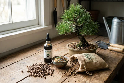 Tipi di concime per bonsai organico liquido e granulare su tavolo da lavoro
