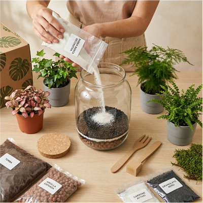 Closed vs. Open Terrarium: Which to choose.