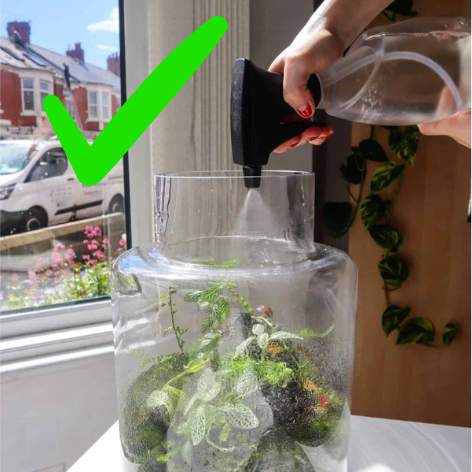How to Measure Humidity in Your Terrarium