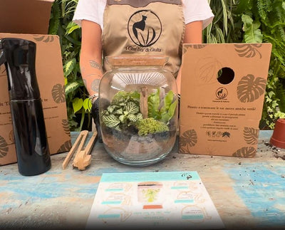 Les bienfaits des terrariums de plantes vertes : pourquoi créer votre propre mini-jardin ? 