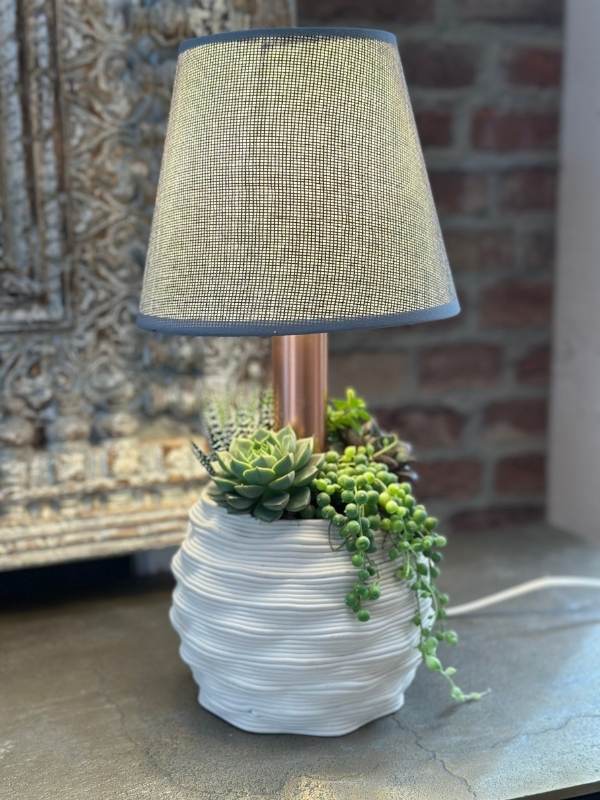 Lampe Gaudì : La lampe design livrée avec des plantes succulentes 