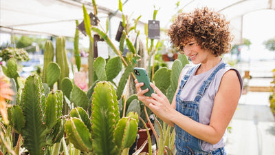 Plantas Suculentas Problemas Comunes: Reconocer, Prevenir y Resolver Cada Dificultad [Guía Práctica 2025]