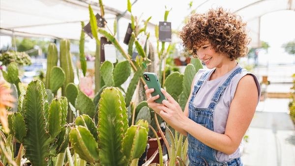 Problèmes courants des plantes succulentes : reconnaître, prévenir et résoudre chaque difficulté [Guide pratique 2025] 