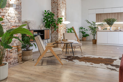 Best Indoor Plants 2025: How to Create Your Perfect Home Garden