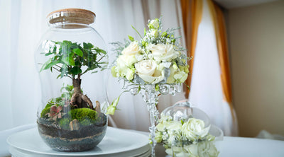 Terrarium Wedding Favor: Fatal Error and How to Avoid It