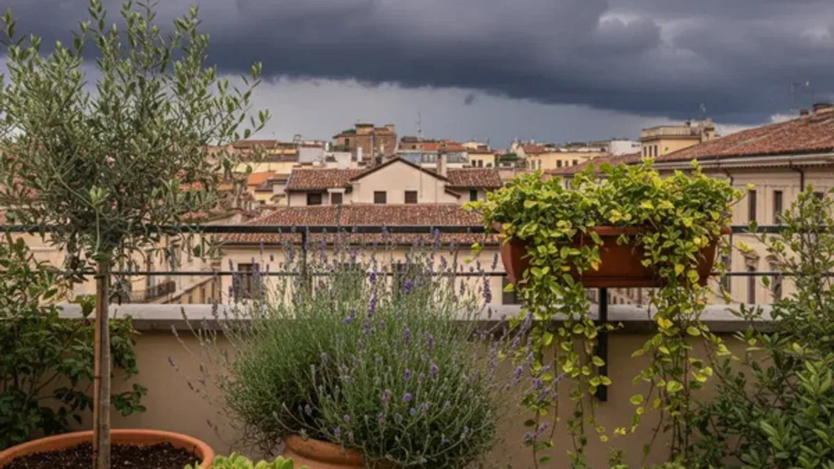 Extreme thunderstorm alert: how to protect terrace, garden, and veranda plants (and what to do afterward)