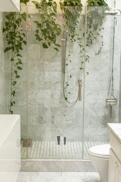 Decorar la sala de estar con plantas decorativas: el toque verde para tu hogar