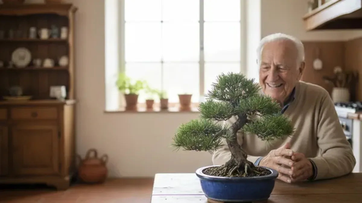 Bonsai regalo Festa dei Nonni: 6 varietà, 6 significati per scegliere quello che gli somiglia