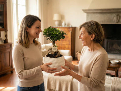 Fête des mères : pourquoi offrir des plantes est le cadeau parfait. 