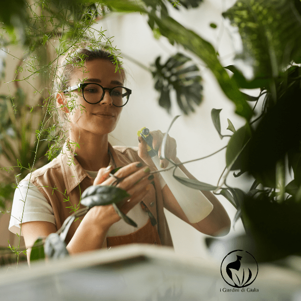 Guide d'entretien des plantes au bureau : votre verdure en milieu de travail