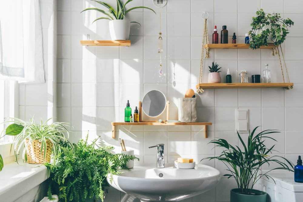 Plantes de salle de bain : transformez votre espace en une oasis de bien-être tropicale 