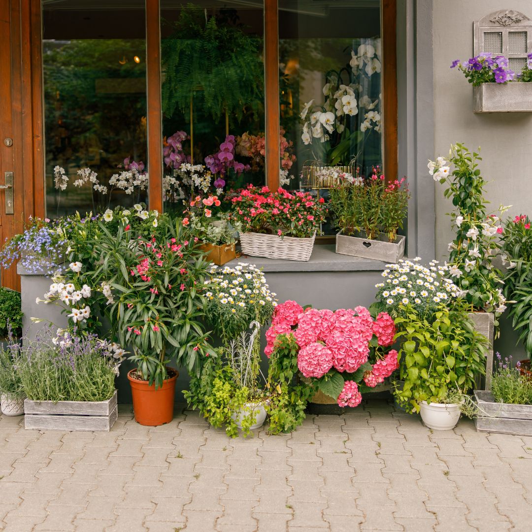 Turn Your Balcony and Terrace into a Green Oasis with the Right Plants and Quality Pots