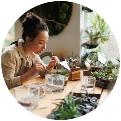 Terrarium zum Selbermachen: Die kleine Welt, die die Seele heilt