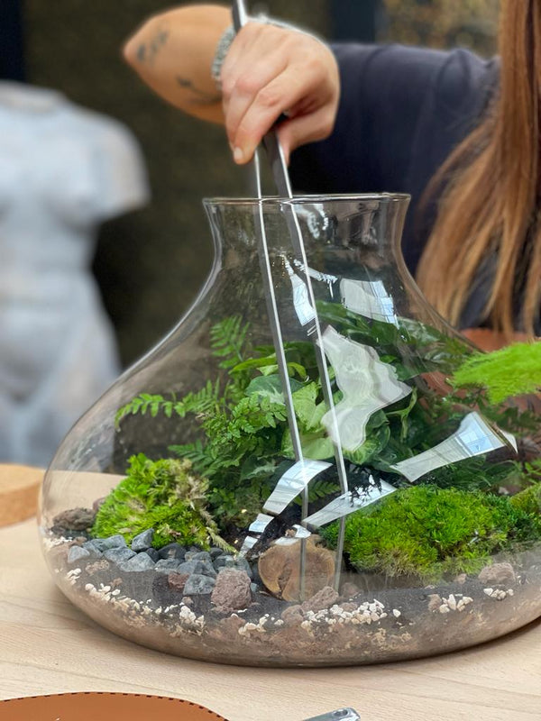Alles, was du über das Terrarium-Kit wissen musst: Komplettanleitung zur Gestaltung deiner eigenen Naturecke zu Hause