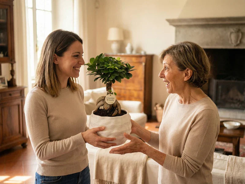 Figlia regala bonsai ficus ginseng I Giardini di Giulia alla mamma per la Festa della Mamma