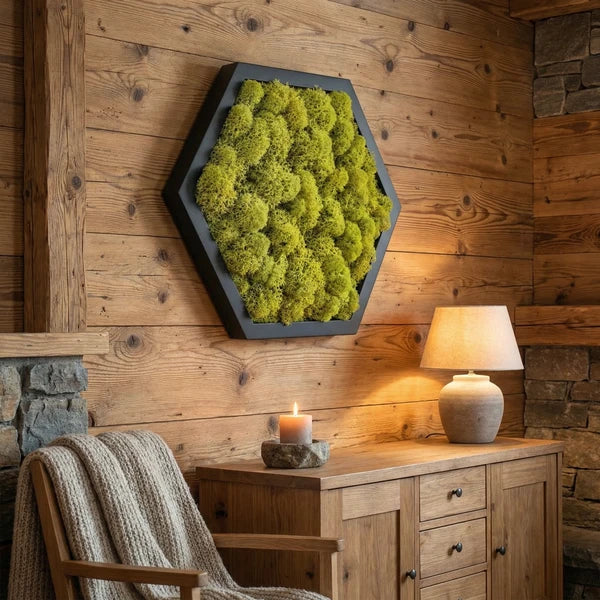 Quadro esagonale di licheni verde chiaro con cornice nera, vista d'insieme