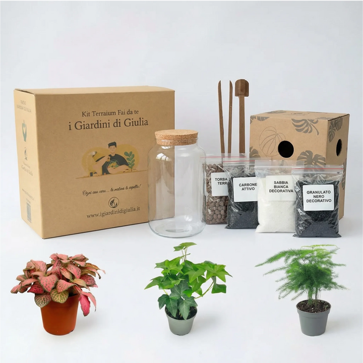 Kit Terrarium Fai Da Te Nadia - vista frontale del vaso in vetro con piante e substrati