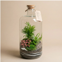 Terrarium bottiglia Alba 19x43cm con palma, fittonia rosa, felce e muschio, tappo sughero