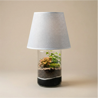 Lamparium Aurora 12x35cm con fittonia rosa, edera e muschio, paralume bianco