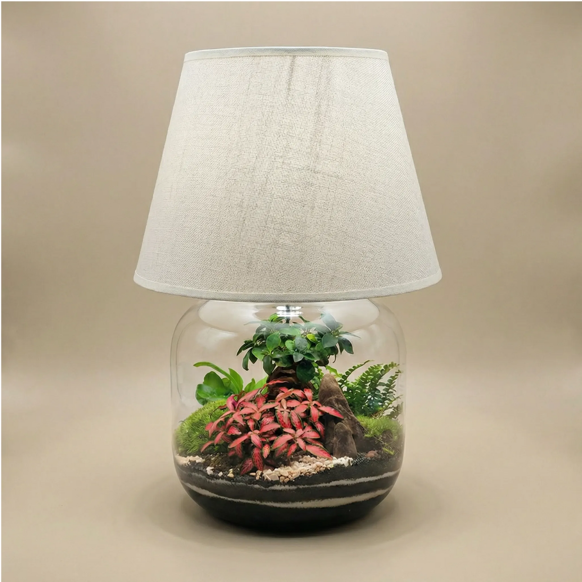 Lamparium Martina 23.5x47cm con bonsai, fittonia rosa, felce e muschio, paralume bianco