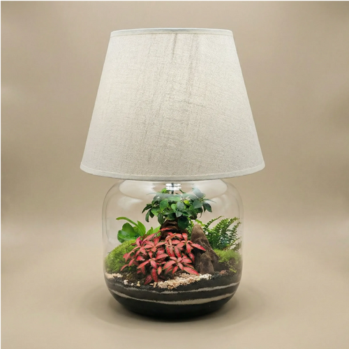 Lamparium Martina 23,5x47 cm con bonsai, fittonia rosa, felce e muschio, paralume bianco