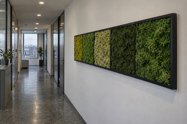 Fascia orizzontale in licheni stabilizzati lungo il corridoio di un ufficio