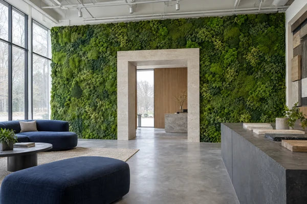 Portale rivestito di verde stabilizzato in uno showroom di interni