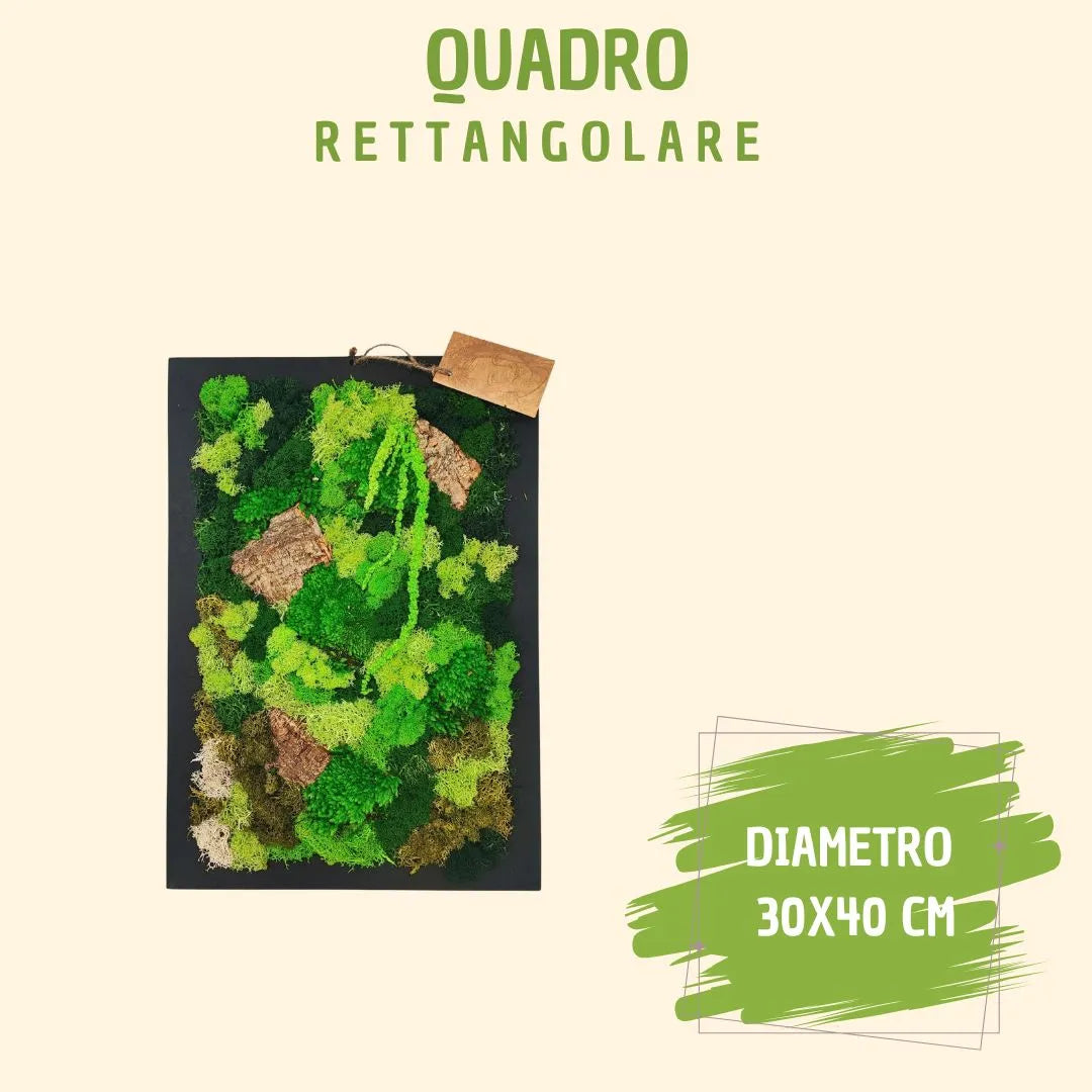 Rectangular preserved moss and lichen frame, 30x40 cm, with gift box