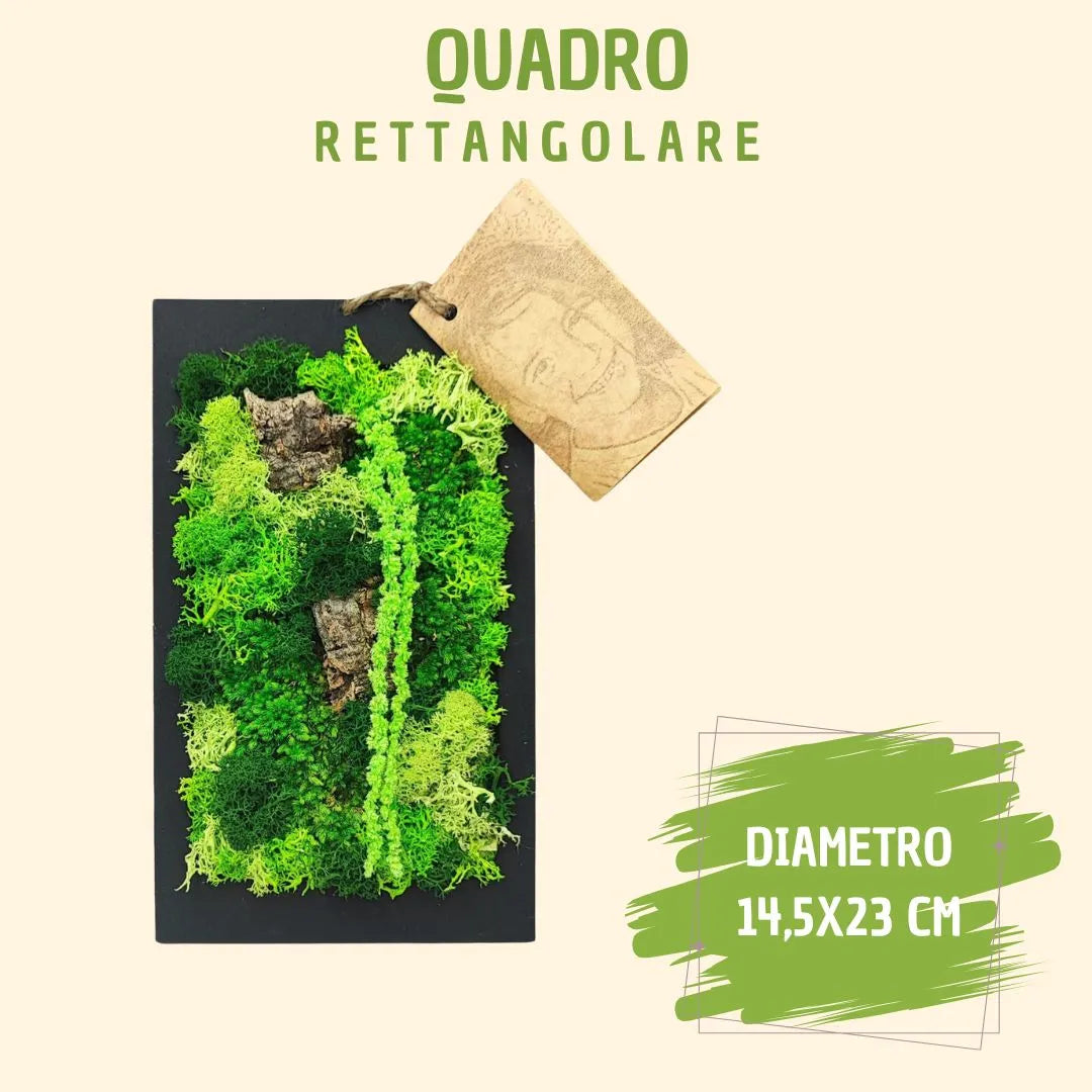 Rectangular mini frame of preserved moss and lichen with gift box